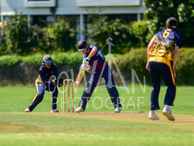 North Shore Cricket Club v Suburbs New Lynn at Devonport Domain