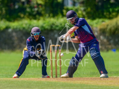 North Shore Cricket Club v Suburbs New Lynn at Devonport Domain