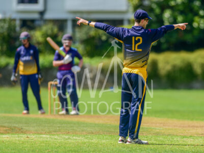 North Shore Cricket Club v Suburbs New Lynn at Devonport Domain
