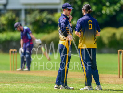 North Shore Cricket Club v Suburbs New Lynn at Devonport Domain