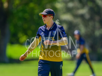 North Shore Cricket Club v Suburbs New Lynn at Devonport Domain
