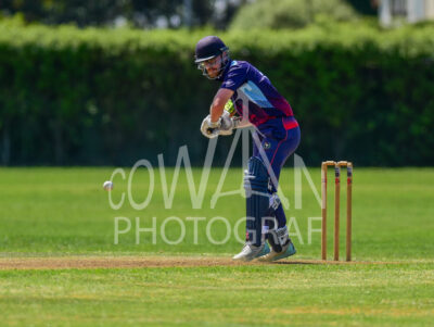 North Shore Cricket Club v Suburbs New Lynn at Devonport Domain