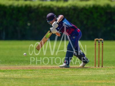 North Shore Cricket Club v Suburbs New Lynn at Devonport Domain