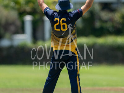 North Shore Cricket Club v Suburbs New Lynn at Devonport Domain