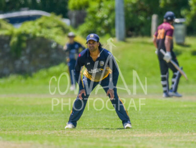 North Shore Cricket Club v Suburbs New Lynn at Devonport Domain