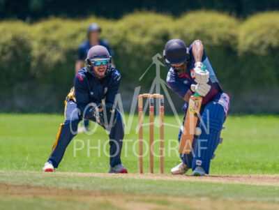 North Shore Cricket Club v Suburbs New Lynn at Devonport Domain
