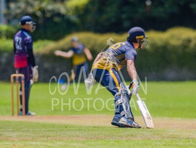 North Shore Cricket Club v Suburbs New Lynn at Devonport Domain