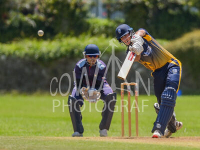 North Shore Cricket Club v Suburbs New Lynn at Devonport Domain