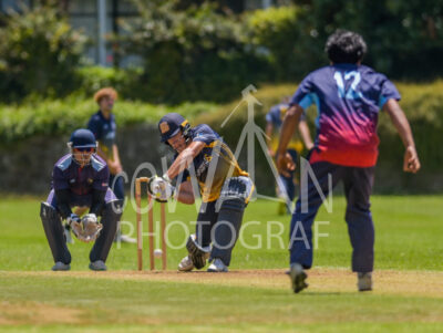 North Shore Cricket Club v Suburbs New Lynn at Devonport Domain