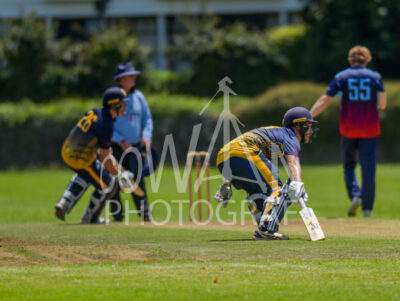 North Shore Cricket Club v Suburbs New Lynn at Devonport Domain