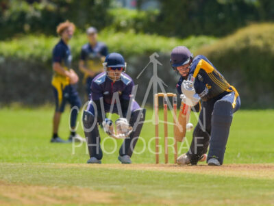 North Shore Cricket Club v Suburbs New Lynn at Devonport Domain
