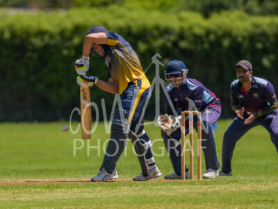 North Shore Cricket Club v Suburbs New Lynn at Devonport Domain