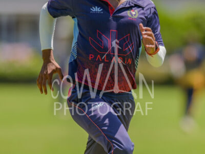 North Shore Cricket Club v Suburbs New Lynn at Devonport Domain