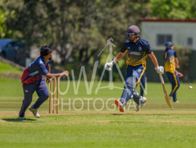North Shore Cricket Club v Suburbs New Lynn at Devonport Domain