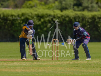 North Shore Cricket Club v Suburbs New Lynn at Devonport Domain