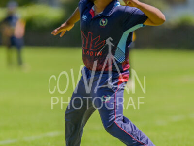 North Shore Cricket Club v Suburbs New Lynn at Devonport Domain