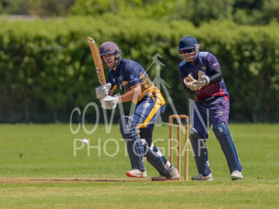 North Shore Cricket Club v Suburbs New Lynn at Devonport Domain