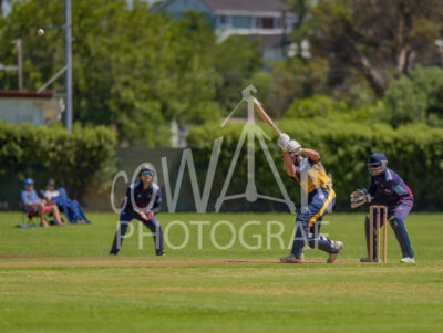 North Shore Cricket Club v Suburbs New Lynn at Devonport Domain