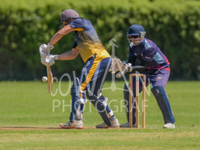 North Shore Cricket Club v Suburbs New Lynn at Devonport Domain