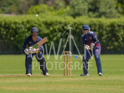 North Shore Cricket Club v Suburbs New Lynn at Devonport Domain