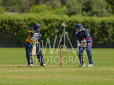 North Shore Cricket Club v Suburbs New Lynn at Devonport Domain