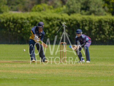 North Shore Cricket Club v Suburbs New Lynn at Devonport Domain