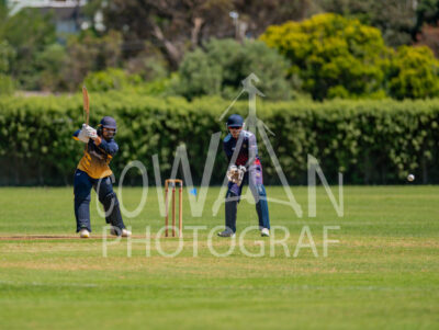 North Shore Cricket Club v Suburbs New Lynn at Devonport Domain