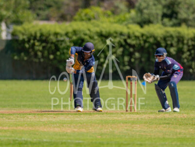 North Shore Cricket Club v Suburbs New Lynn at Devonport Domain