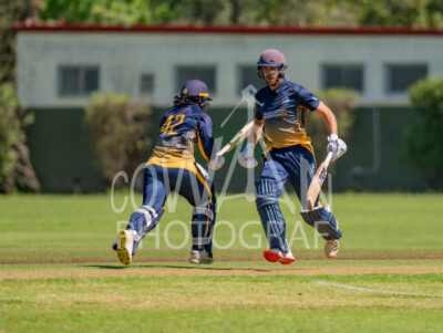 North Shore Cricket Club v Suburbs New Lynn at Devonport Domain