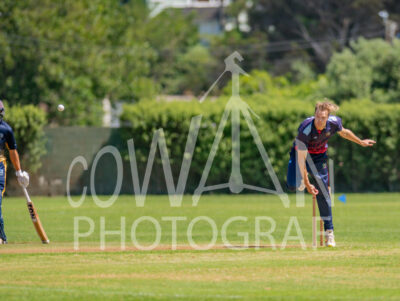 North Shore Cricket Club v Suburbs New Lynn at Devonport Domain