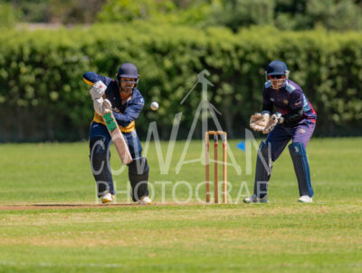 North Shore Cricket Club v Suburbs New Lynn at Devonport Domain