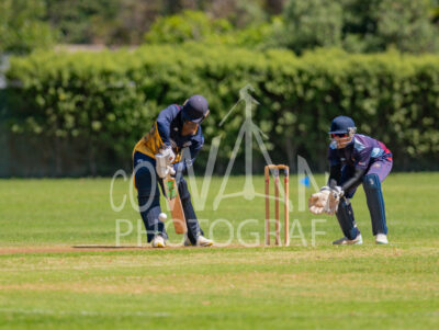 North Shore Cricket Club v Suburbs New Lynn at Devonport Domain
