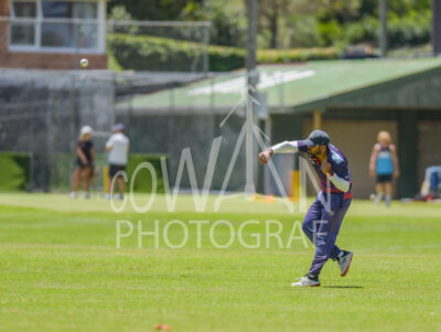 North Shore Cricket Club v Suburbs New Lynn at Devonport Domain