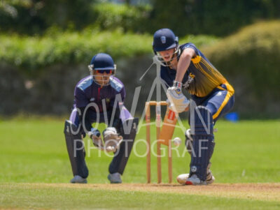North Shore Cricket Club v Suburbs New Lynn at Devonport Domain