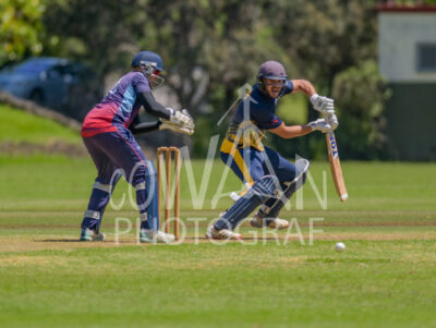 North Shore Cricket Club v Suburbs New Lynn at Devonport Domain