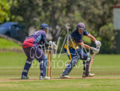 North Shore Cricket Club v Suburbs New Lynn at Devonport Domain